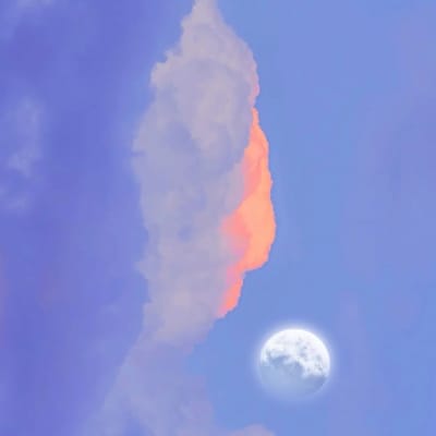 Phạm Phương Vy avatar